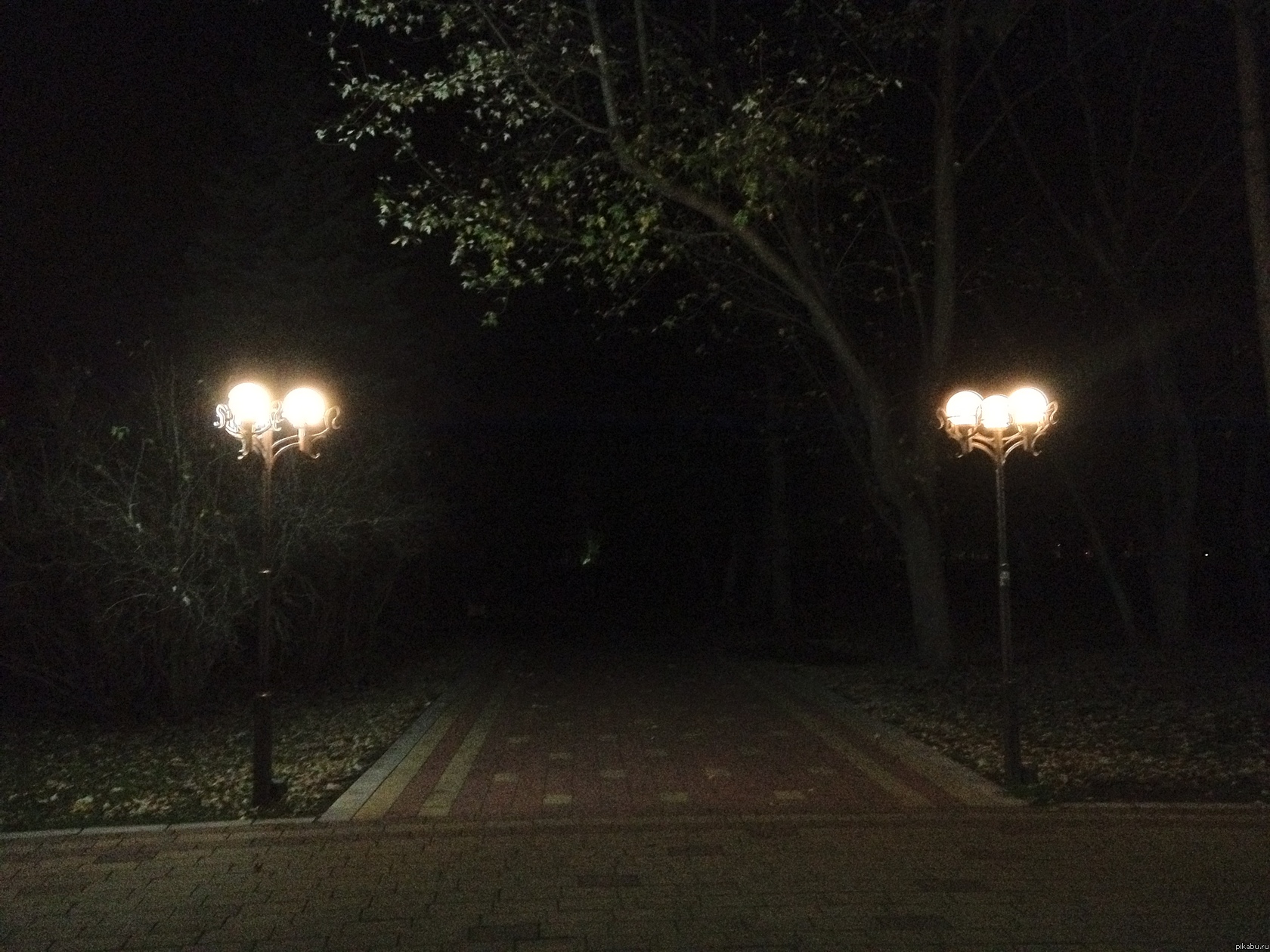 Плохое освещение в парке