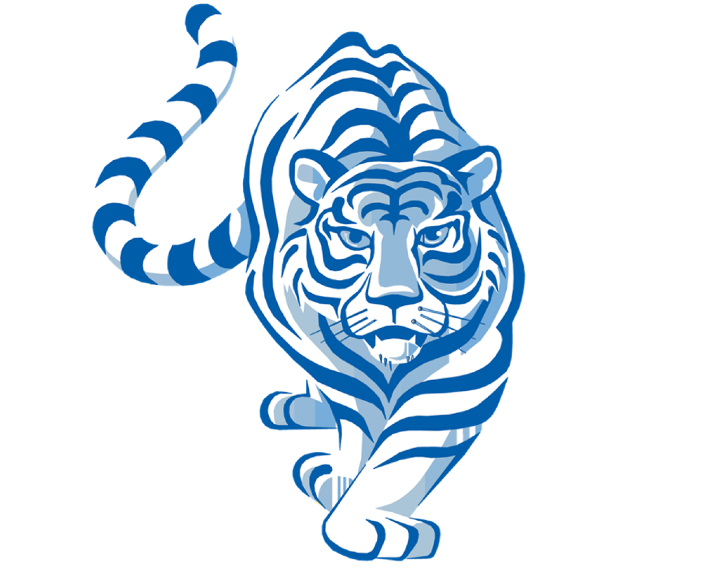 Год тигра 2025. Тигр рисунок. Тигр символ. Символ года тигр. Тигр на голубом фоне.
